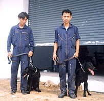 n3.jpg (25480 bytes)