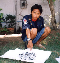 n8.jpg (27716 bytes)