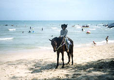 f42.jpg (16689 bytes)