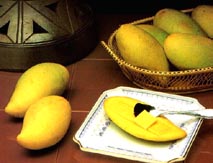 f6.jpg (18289 bytes)