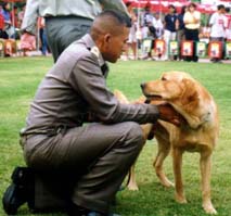 f9.JPG (20490 bytes)