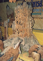 f41.jpg (22356 bytes)