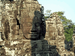 f11.gif (35812 bytes)