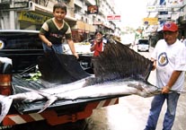 s4.jpg (20865 bytes)