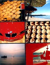 snap.jpg (24315 bytes)