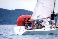 f31.jpg (15883 bytes)