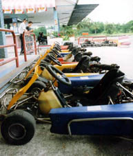 auto.jpg (23143 bytes)