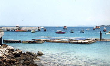 home.jpg (24458 bytes)