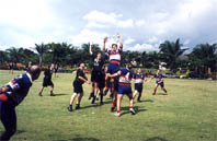 s1.jpg (15842 bytes)