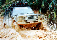 auto.jpg (21421 bytes)