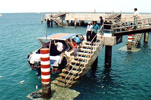 home.jpg (32963 bytes)