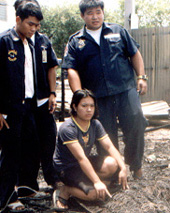 n10.jpg (35160 bytes)