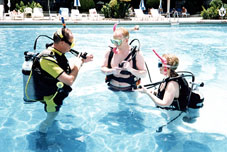 s41.jpg (25645 bytes)