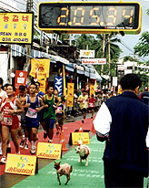 sa.jpg (35146 bytes)