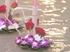 Loy Krathong Festival 2012