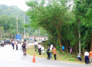 Pattaya Parks Department staff and volunteers cut back or removed about 200 trees along Pratamnak Road.
