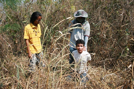 Police were finally able to catch up with the drug-crazed driver after he tried to escape into the jungle. 