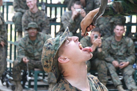 Troops drink cobra blood as part of their wilderness training.