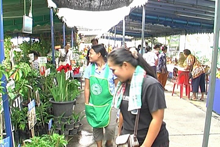 Visitors check out the many types of horticulture on show at the agricultural fair.