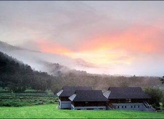 Thanyamundra Organic Resort; luxury in the foothills of the wonderful Khao Sok National Park in southern Thailand.