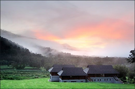 Thanyamundra Organic Resort; luxury in the foothills of the wonderful Khao Sok National Park in southern Thailand.