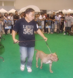 Owners lead their prize pets around the ring for the judges to inspect.