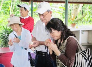 Some of the Japanese guests are tasting certain types of fruit for the first time.