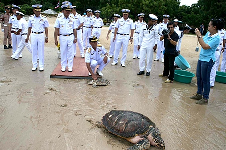 Adm. Narong Thesvikaal, commander of the Royal Thai Fleet, presides over the release of a female green turtle it has nursed for 12 years.  
