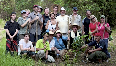 Spectacular wild orangutans.