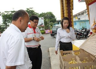 Sattahip officials donate 500 ducklings to Plutaluang farmers.