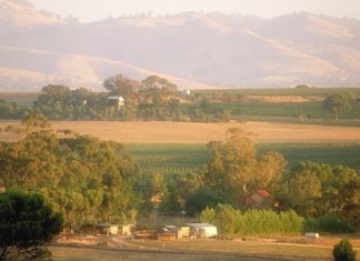 Barossa Valley, South Australia (Photo: Wine Australia).