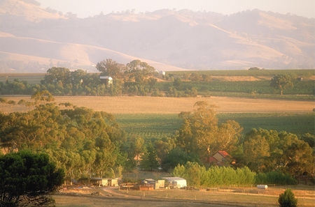 Barossa Valley, South Australia (Photo: Wine Australia). 