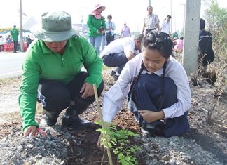 City officials, students and teachers plant trees to honor HM the King.