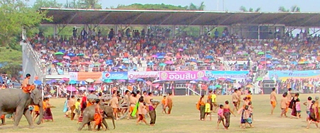 There is always elephants and pageantry at the annual Surin Elephant Round Up.