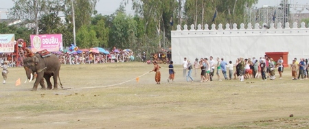 One of the many shows on offer was a tug of war between and elephant and humans. The elephant won, of course.