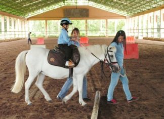 A.D.F. Thailand is a foundation that provides therapy riding for disabled children.