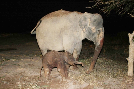 Mother and child are reportedly doing well. 