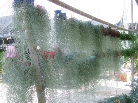 As fishermen hang out their nets to dry, they turn to other ways to make a living.