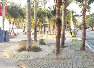 Pattaya City will spend 140 million baht to upgrade landscaping along Pattaya Beach and add another traffic lane the length of Beach Road whilst waiting for government approval of its beach erosion-repair project. Expect traffic snarls along Beach Road when the work begins in March.