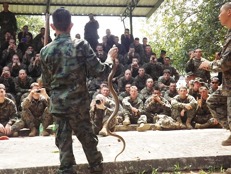 A Thai survival expert shows troops how to capture a cobra during the jungle survival exercises.