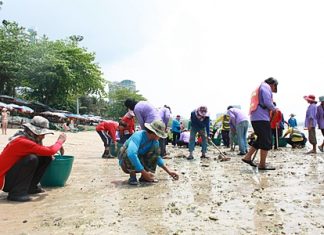 About 120 workers from six agencies collect sharp rocks that had washed ashore on Pattaya Beach.