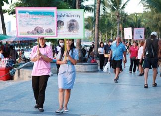 City workers parade down the beach promenade with placards announcing their intention to redouble efforts to cull the rat population.