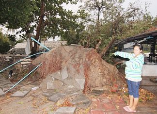 Heavy winds during the March 31 storm were felt throughout the area, including Payoon Beach where the Chai Talay Payoon Seafood restaurant was destroyed when a heavy tree fell on it. No one was injured.