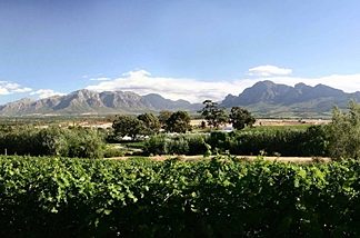 Some Like it Cold Breede River Valley, South Africa.