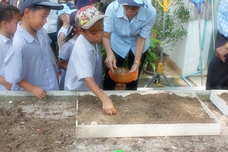 Alex learns to plant rice in our Thai lesson.