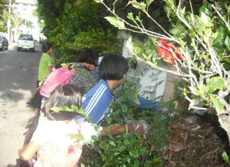 Children from the Child Protection and Development Center dig deep into the brush to pick up litter.
