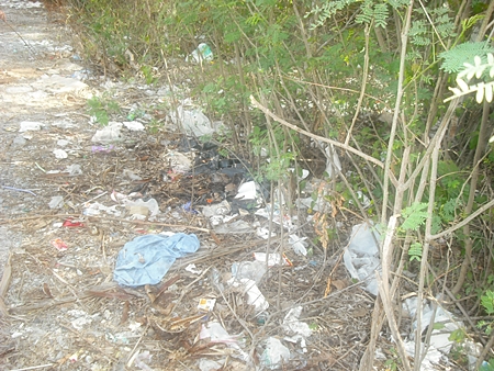 The area before the cleanup was truly a mess. 