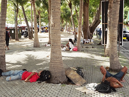 Despite city efforts, homeless are still abundant in Pattaya, and in this case take naps under a beach coconut tree. 