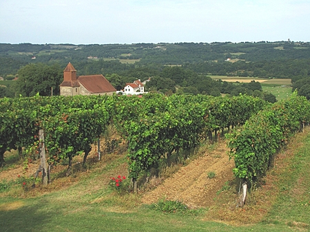 Madiran vineyards (© Jean-Marc Puech) 