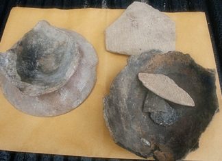Some of the artifacts found at the site.